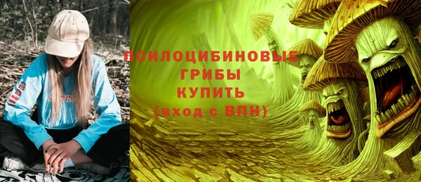 спиды Бронницы