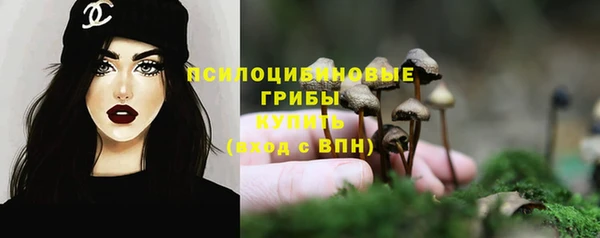 метадон Бородино