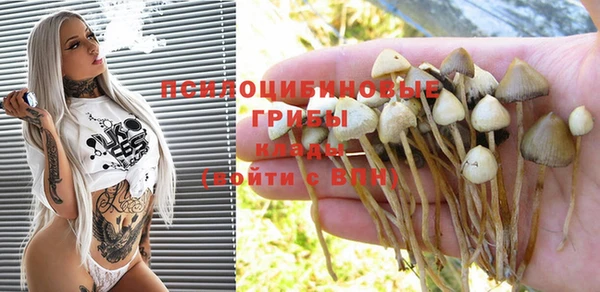 метадон Бородино
