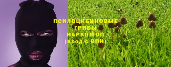 эйфоретик Бугульма