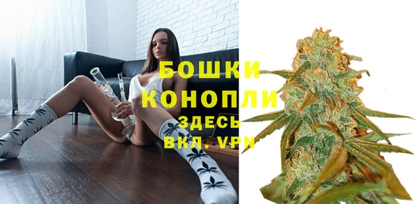 спиды Бронницы