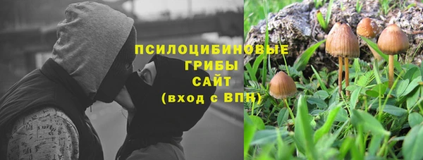 спиды Бронницы