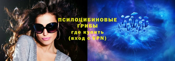 молекула духа Лихославль