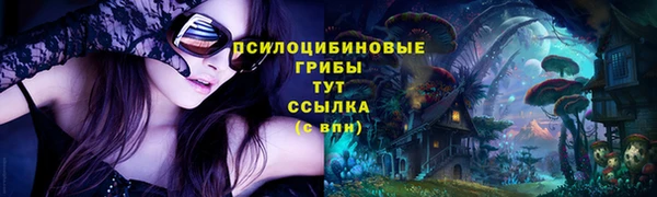 эйфоретик Бугульма