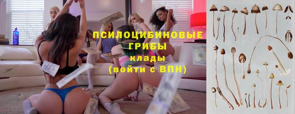 спиды Бронницы